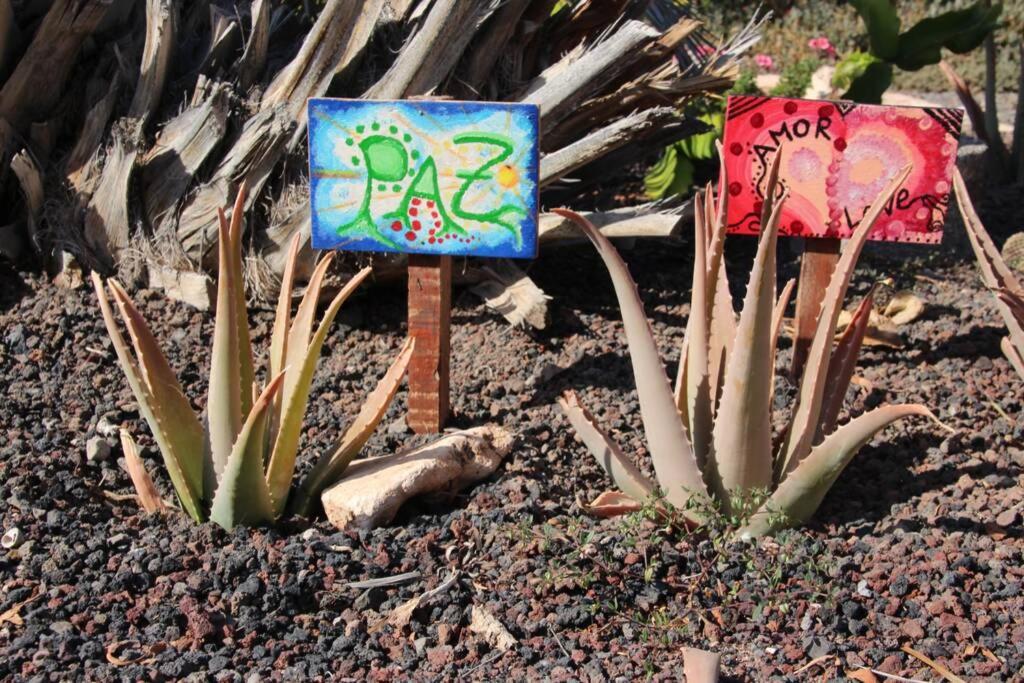 Apartmán Casa Madre Tierra La Pared  Exteriér fotografie