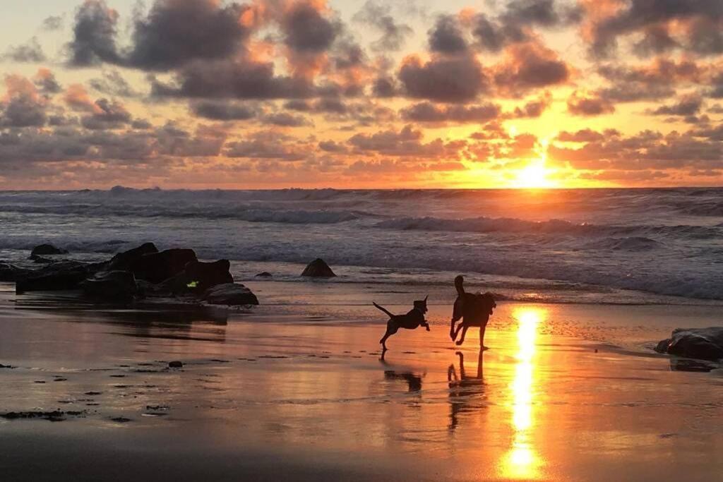 Apartmán Casa Madre Tierra La Pared  Exteriér fotografie